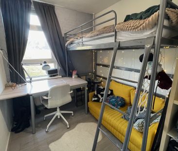 Jaspisstraat, Edelstenenkwartier, Vinkhuizen, West, Groningen, Nede... - Foto 1