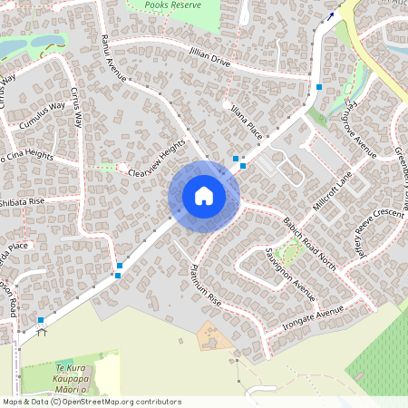 196 Metcalfe Rd, Ranui, Waitakere City