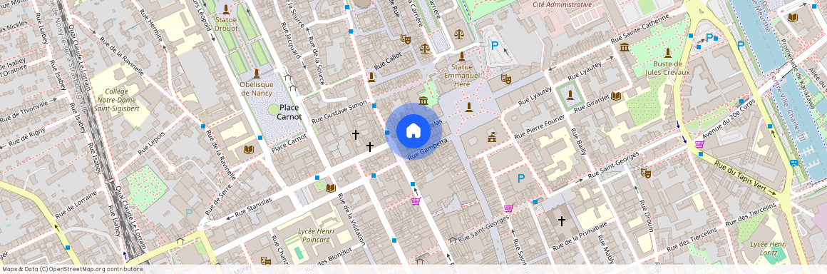 19 RUE STANISLAS, Gambetta Carmes Faiencerie, Nancy