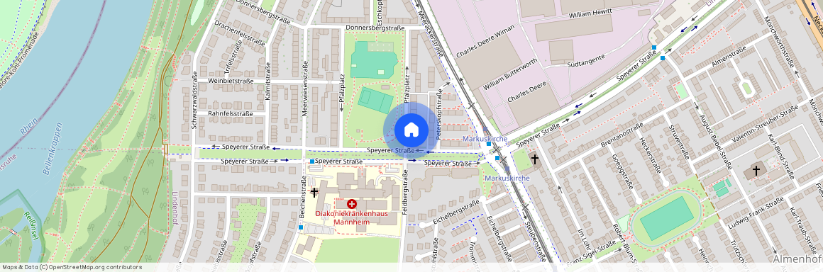 Pfalzplatz 25, 68163 Mannheim OT Lindenhof