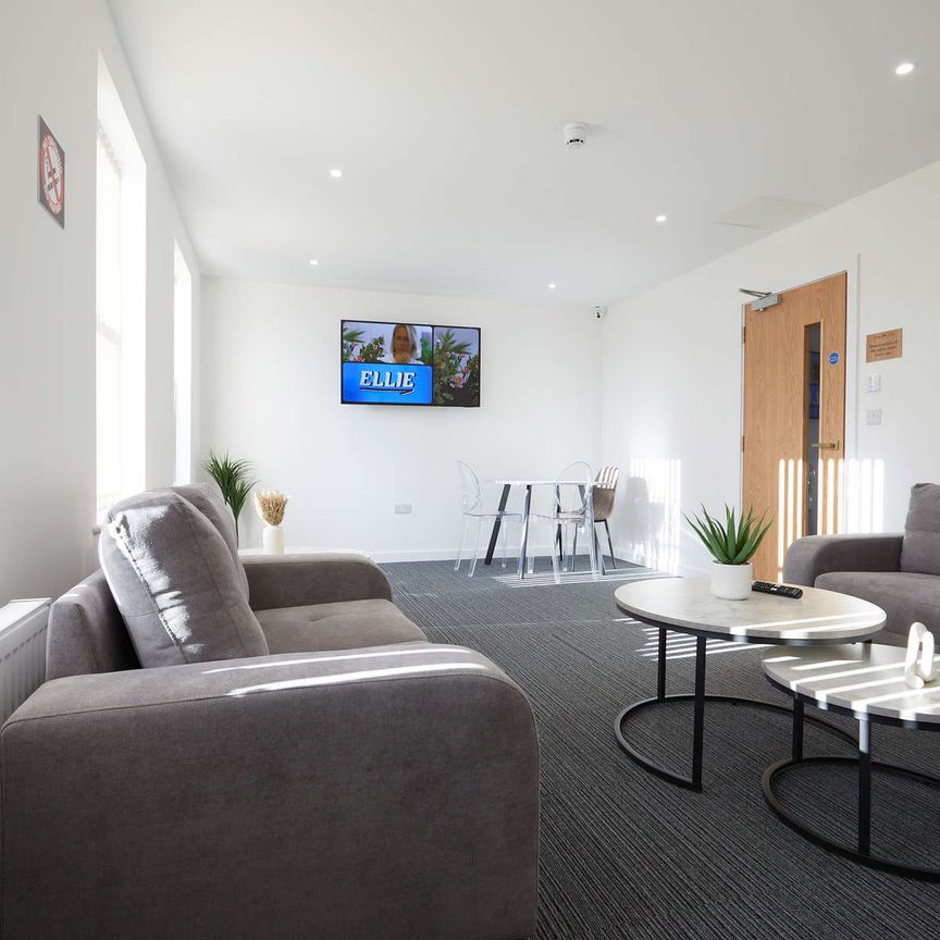 Brand New Conversion, Fresh to Market! Suite 2 - Photo 1