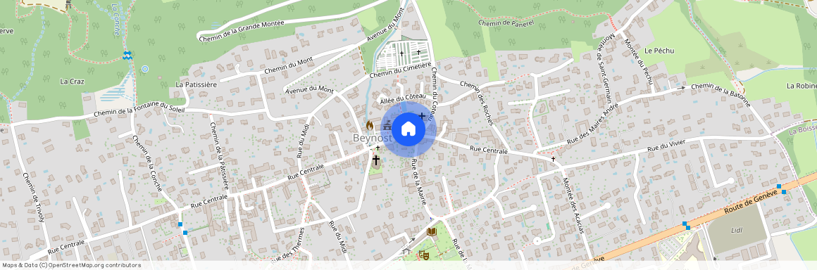 AUVERGNE-RHÔNE-ALPES, AIN (01), 01700, Beynost