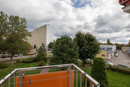 Mieszkanie Wynajem: Koszalin - Photo 5