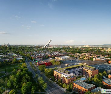 3420 boulevard Saint-Joseph - Studio - Joseph, Rosemont / La Petite... - Photo 4