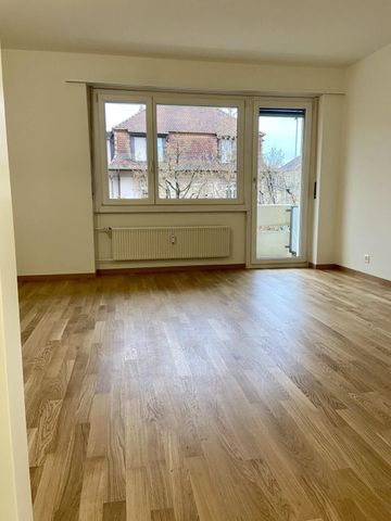 Appartement d’une pièce récemment rénové dans le quartier populaire de Gotthelf - Photo 3