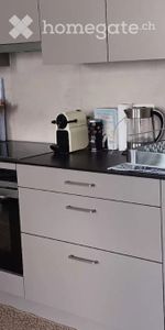 Appartement 1 pièce au coeur de Rolle - Photo 3