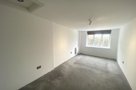 Traice Road - Photo 4