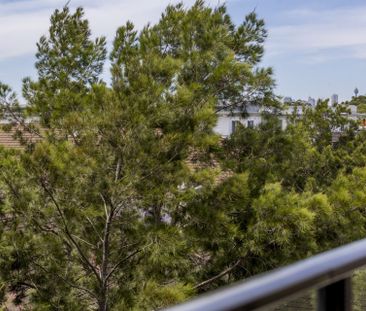 One Bedroom Apartment | High Ceilings, Ac & Parking! - Photo 6