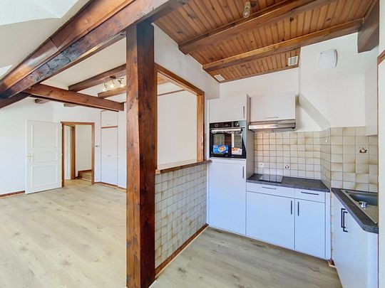 Location Appartement 2 pièces 43m² WOLFISHEIM 67202 - Photo 1
