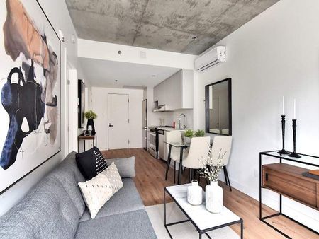 1211 rue Berri, Montréal, QC - Photo 2