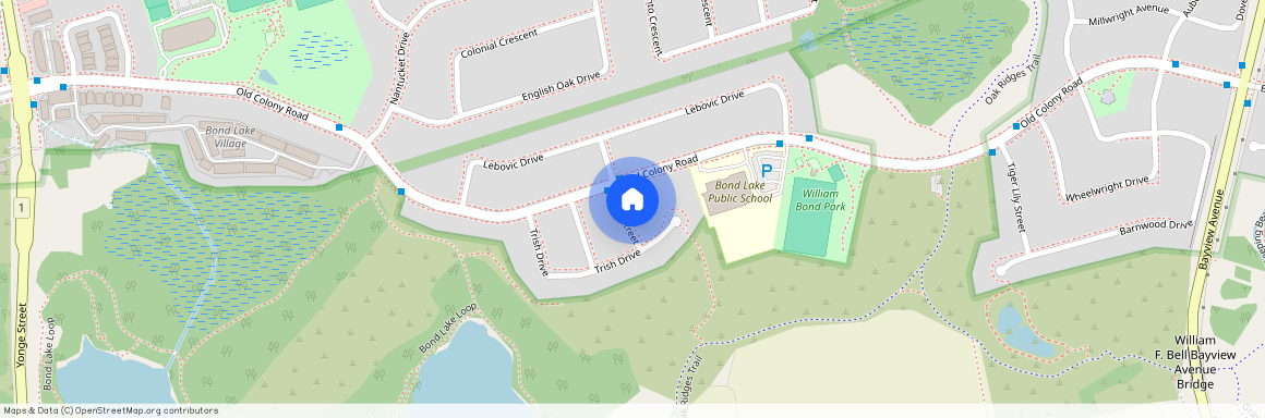 9 Picnic Street, Richmond Hill