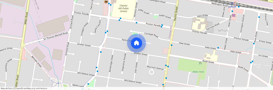 33 Nyora Street, NSW 2162, Chester Hill