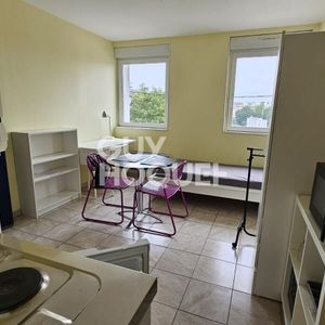 Location Appartement 1 pièce 17m² - Photo 3