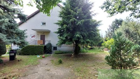 4-pokojowy dom na wynajem na Gumieńcach ! - Photo 5