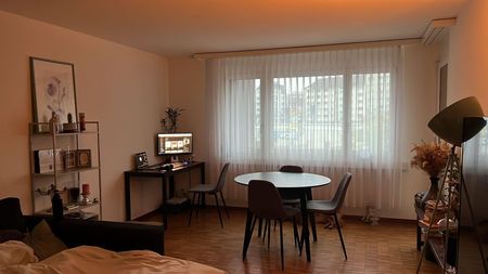 APPARTEMENT 21/2 PIÈCES À ZURICH - DISTRICT 11, MEUBLÉ, TEMPORAIRE - Photo 2