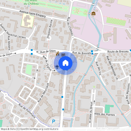 21800, Chevigny-Saint-Sauveur