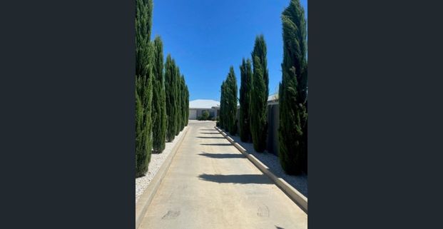 BEAUTIFUL BOOROOMA LIVING - Photo 1