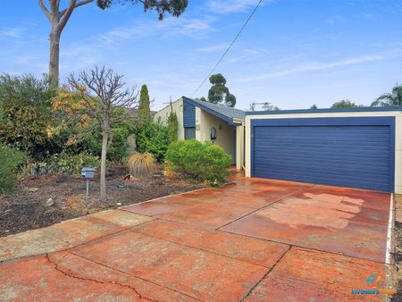 The Entertainer! - Photo 3