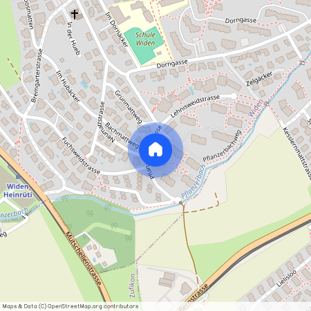 Pflanzerbachstr. 49, 8967, Widen