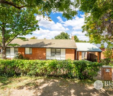 19 Scott Street, Narrabundah ACT 2604 - House For Rent | Domain - Photo 1