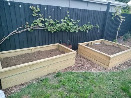 READY now in Redwood - Photo 5