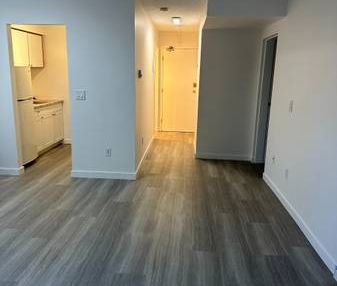 $1,790 - 1856 Frances Street - One Bedroom Suite - Photo 2