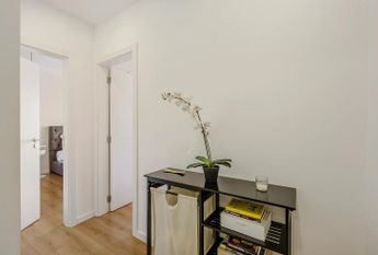 Estrada Serra da Mira