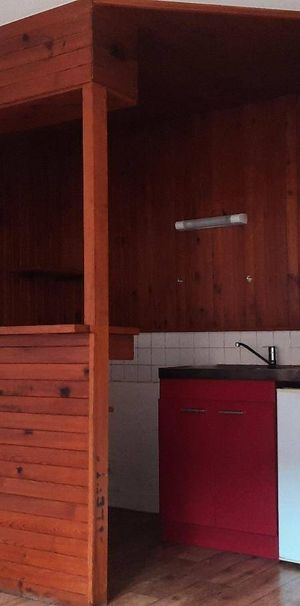 Location appartement 1 pièce 29 m² à Albertville (73200) - Photo 1