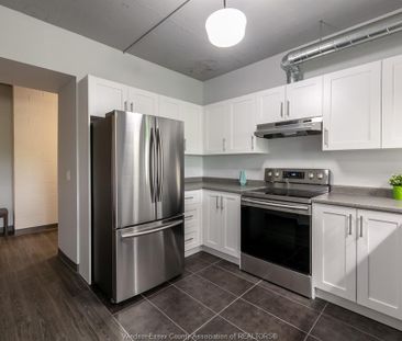 For Lease - 2109 OTTAWA Street Unit# 401, Windsor, Ontario - Photo 6
