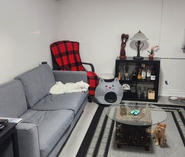 For Lease - 19 Rangoon Road Unit# Basement, Toronto, Ontario - Photo 1