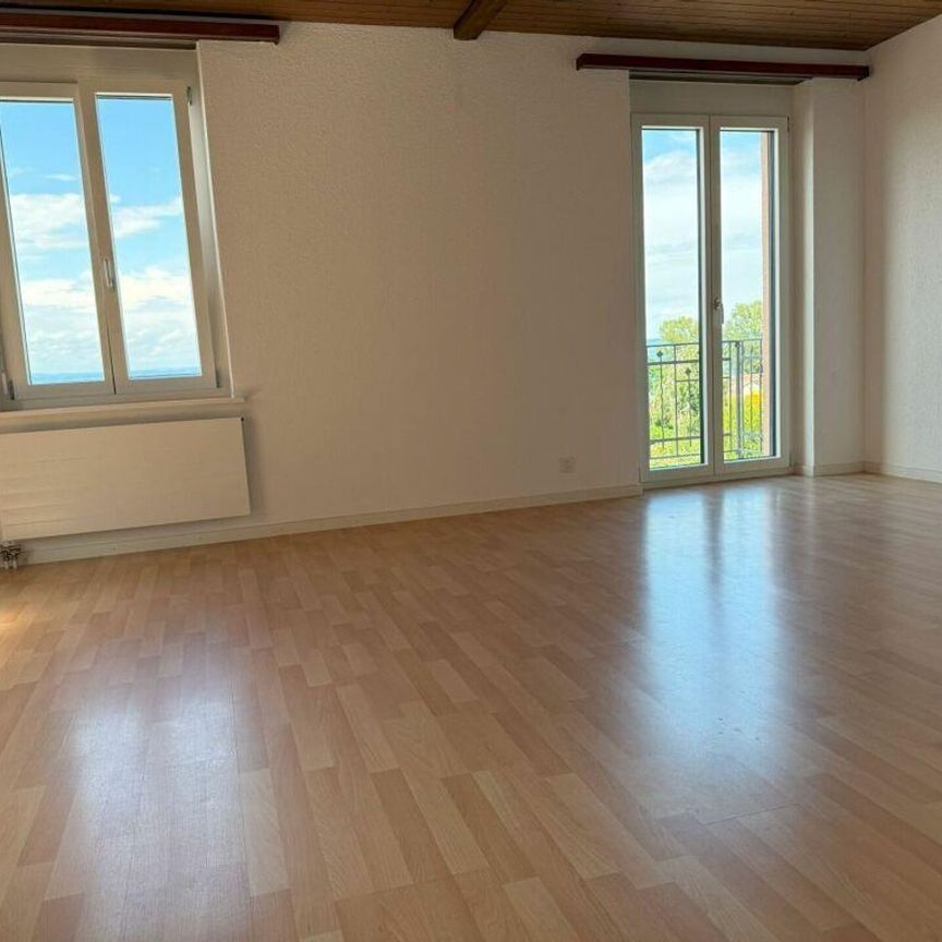 3.5-room/1st floor apartment with lake view, newly renovated - Photo 1