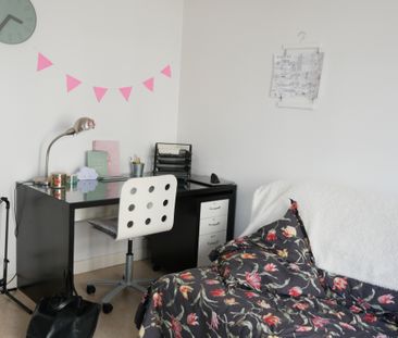 Location Appartement 1 pièce 24m² ANGERS 49100 - Photo 2
