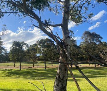 Coburg North - Photo 6