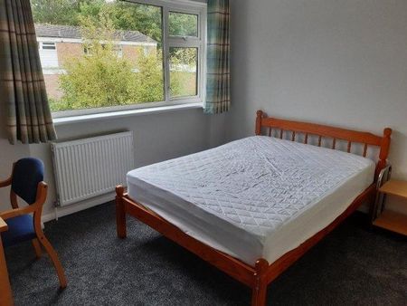 4 bedroom house share to rent - Photo 5