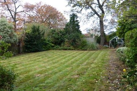 Studio to rent - Photo 5