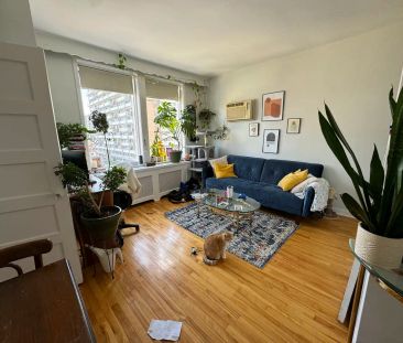 322 Frank Street — 1 Bedroom - Photo 3