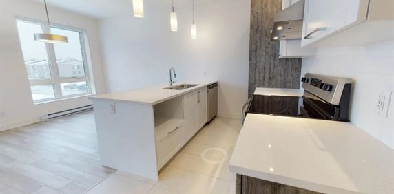 36 Rue Marjorie-D.-Shackleton (Plateau) Tout Inclus 4 1/2 - Photo 2