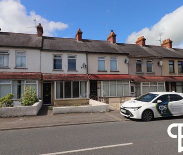 66 Tandragee Road, Portadown BT62 3BL - Photo 4