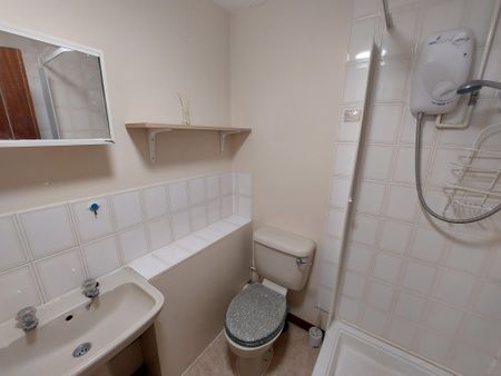 Burgess Road, Southampton - Photo 4