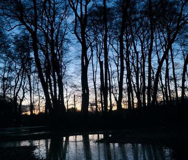 Biete möbliertes Zimmer in WG von 15. März bis 15. April 2026 - Foto 1