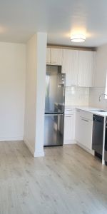 The White House - Photo 4