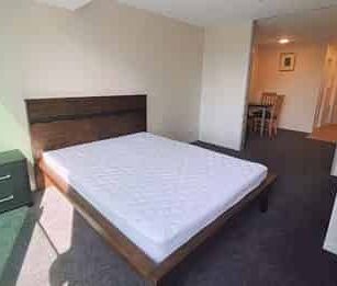 Central Auckland 1BR fully furnished - Photo 1