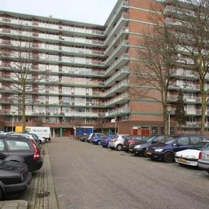 Binnenwater, 2715 GG Zoetermeer, Nederland - Foto 2