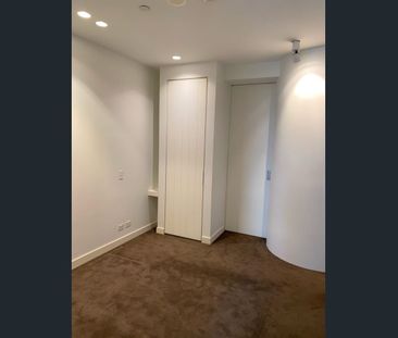 The Elm Apartments - Perfect location! - Photo 4