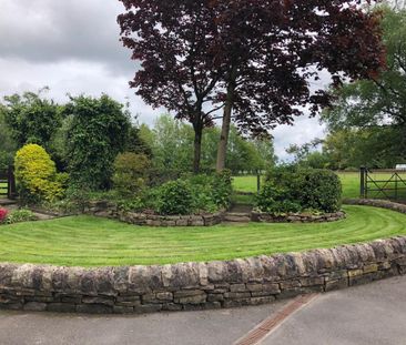 3 bedroom property to rent - Photo 3