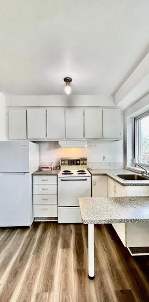 1 CH - 1 SDB - Montréal - $1,450 /mo - Photo 1