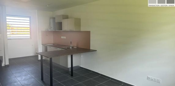 Location Appartement 2 pièces 45m² CAYENNE 97300 - Photo 2
