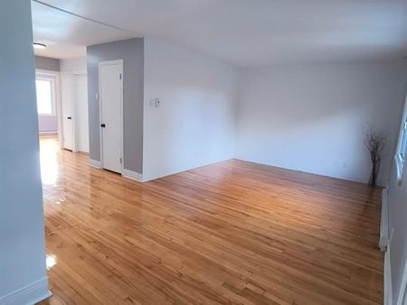 6644 Av. McLynn - Photo 4
