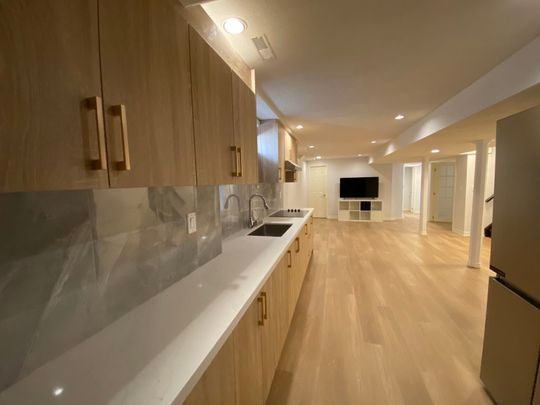 For Lease - 29 Falling River Drive Unit# Basement, Richmond Hill, Ontario - Photo 1