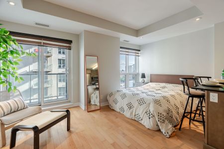 For Lease - 242 RIDEAU Street Unit# 2308, Lower Town - Sandy Hill, Ontario - Photo 3